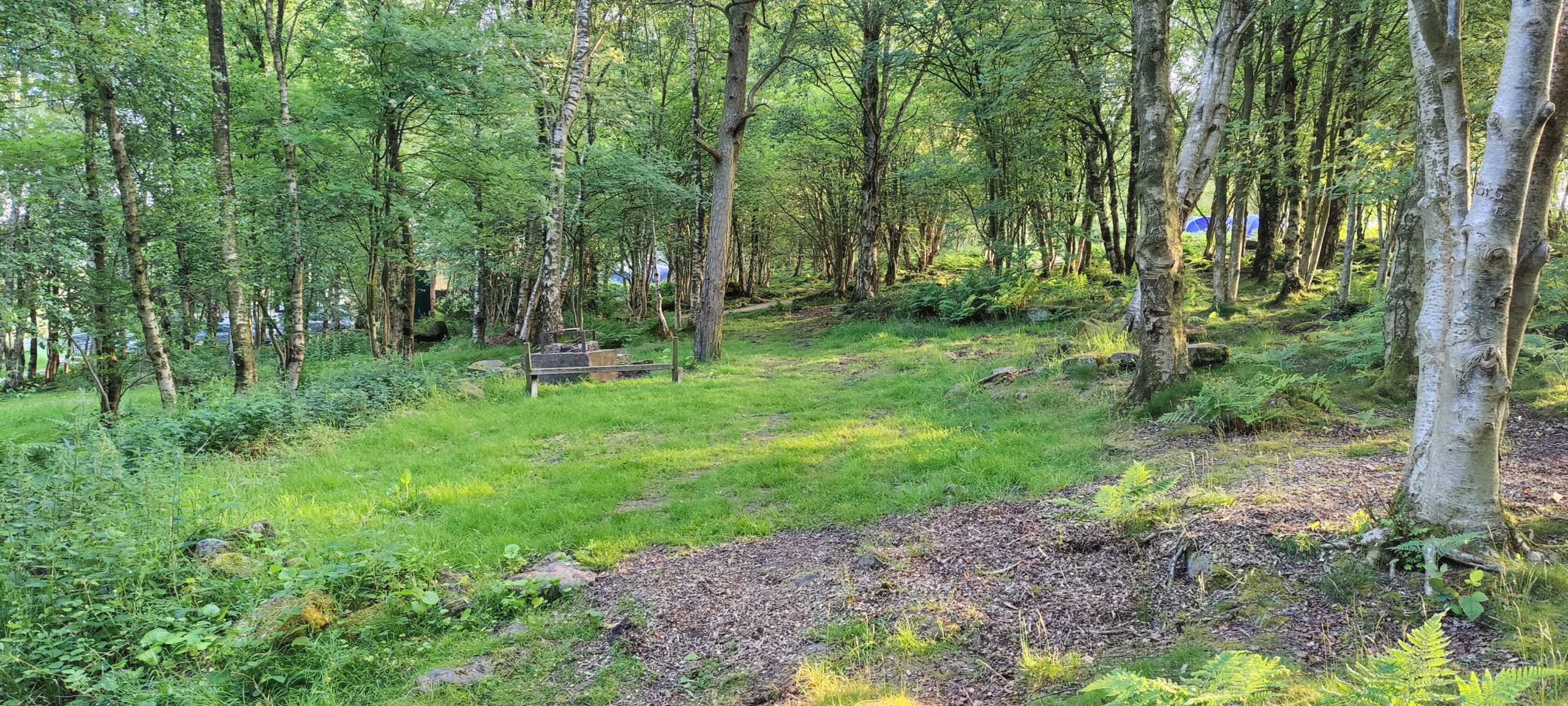 Camping Harrogate and Nidderdale District